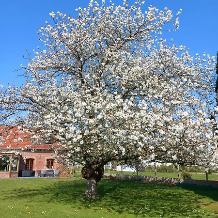 Maupassant Lägenhet Tourville-sur-Arques